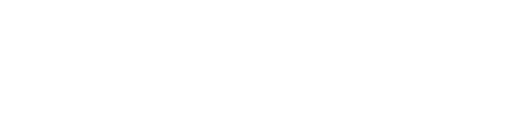 Logo IVA Premium blanc